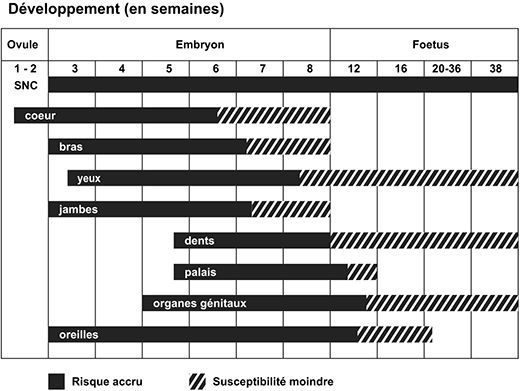 entwicklung in wochen f